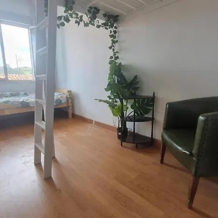 The Magic House 12a03